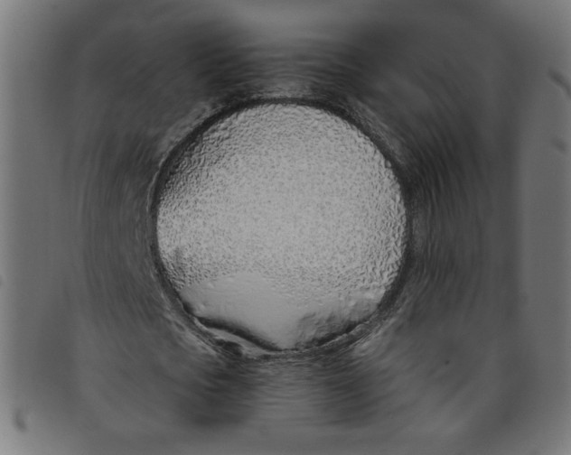 X0000098100721200804251403