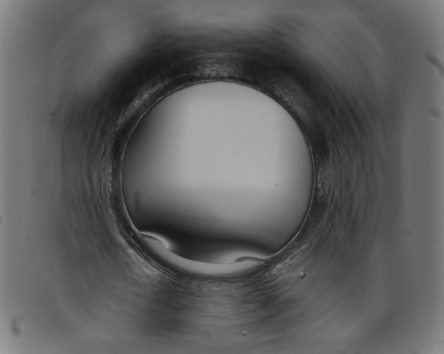 X0000098100722200804251403