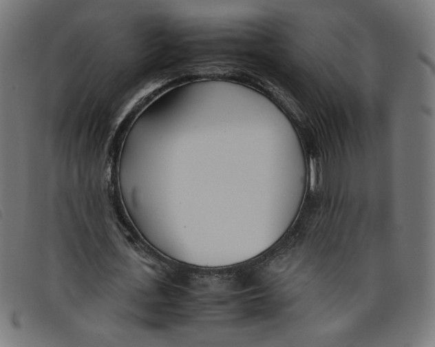 X0000098100723200804251403