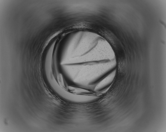 X0000098100724200804251403