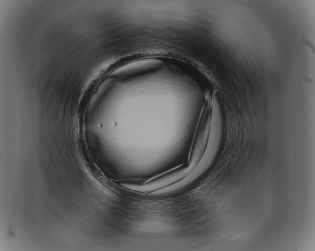 X0000098100726200804251404