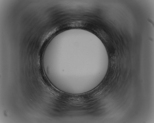 X0000098100727200804251404