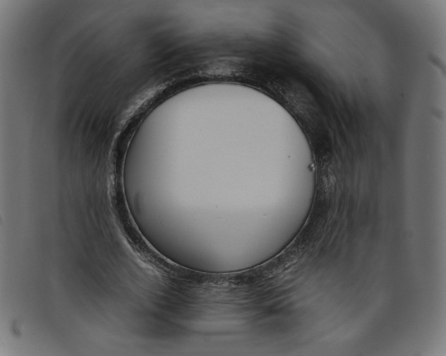 X0000098100728200804251404