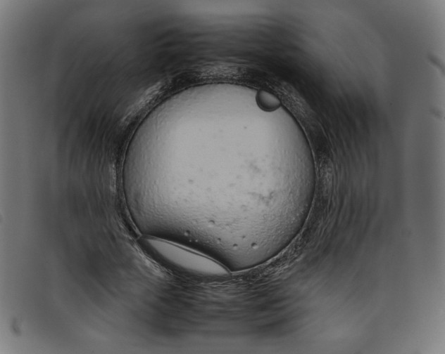 X0000098100729200804251404