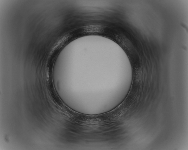 X0000098100731200804251404
