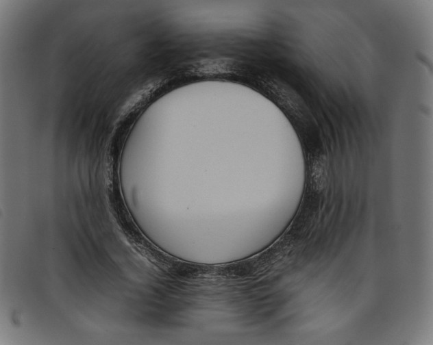 X0000098100732200804251404