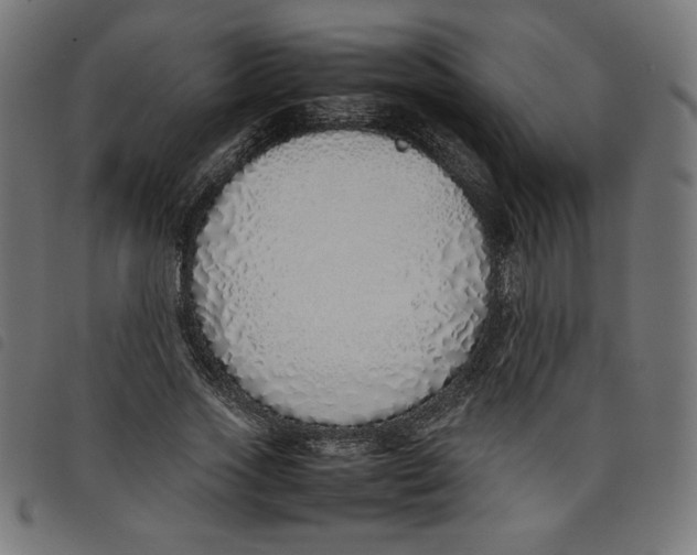 X0000098100733200804251404