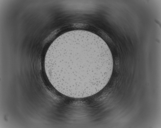 X0000098100734200804251404