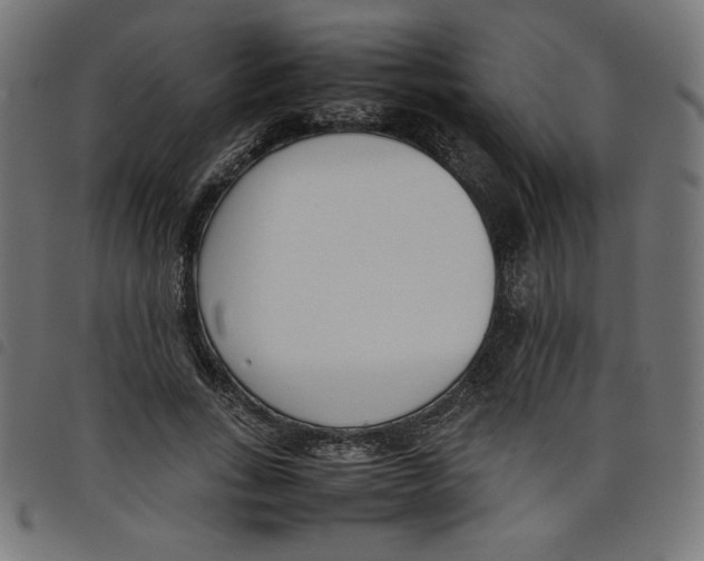 X0000098100735200804251404