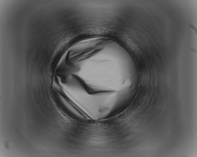 X0000098100736200804251404