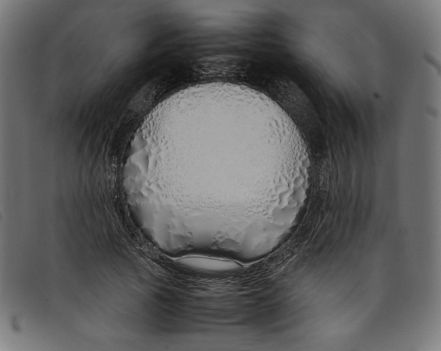 X0000098100737200804251404