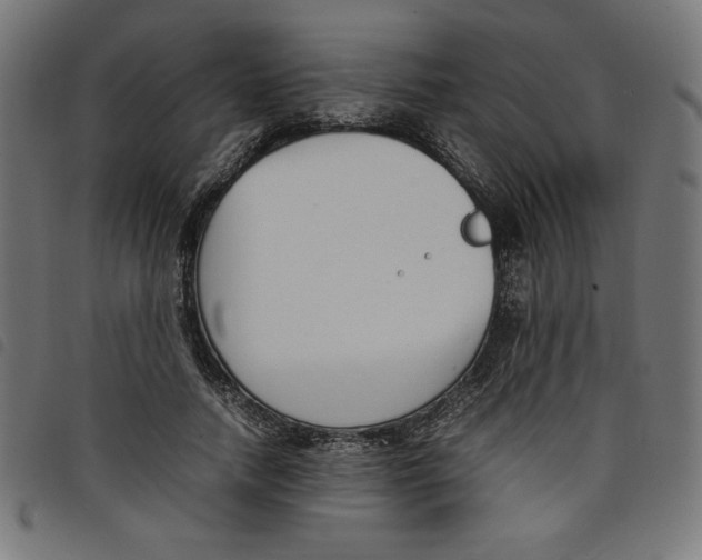 X0000098100738200804251404