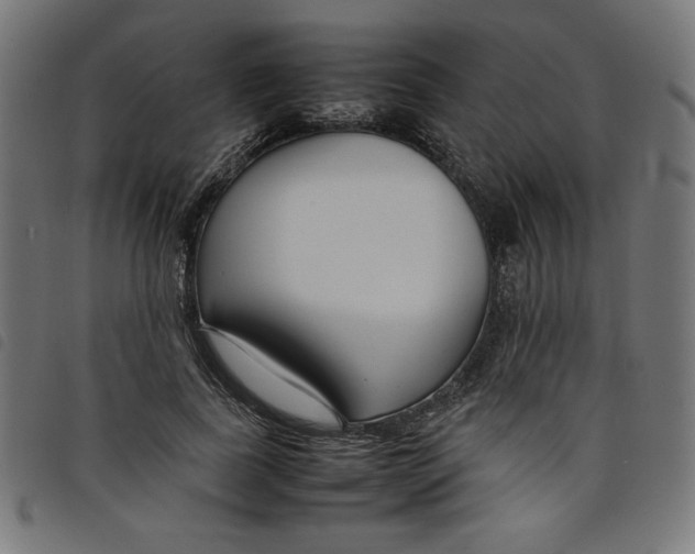 X0000098100739200804251404