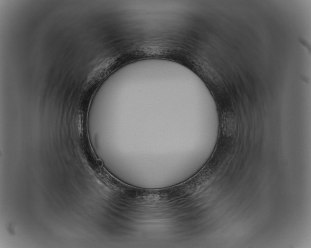 X0000098100740200804251404