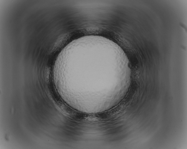 X0000098100742200804251404