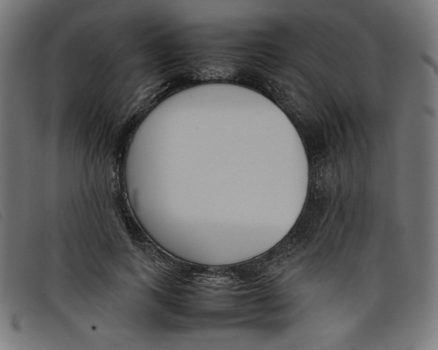 X0000098100743200804251404