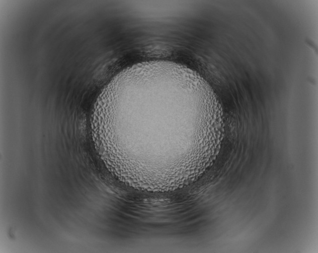 X0000098100745200804251404