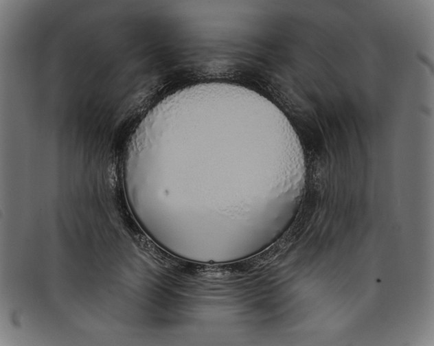 X0000098100746200804251404