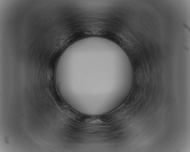 X0000098100747200804251404