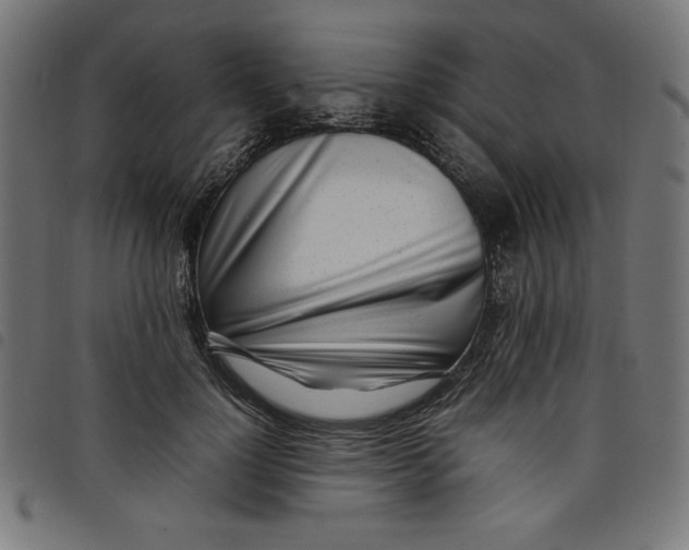X0000098100748200804251404