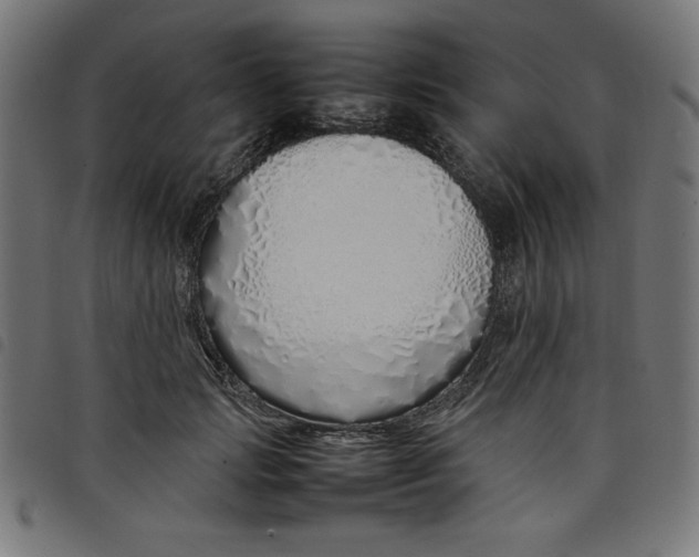 X0000098100749200804251404