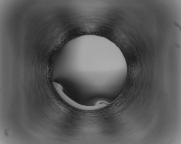 X0000098100750200804251404
