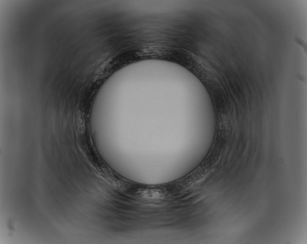X0000098100751200804251404