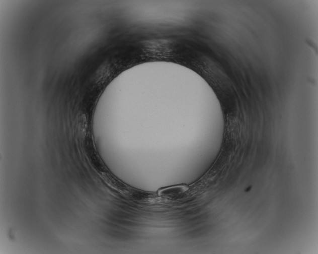 X0000098100752200804251404
