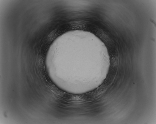 X0000098100753200804251404