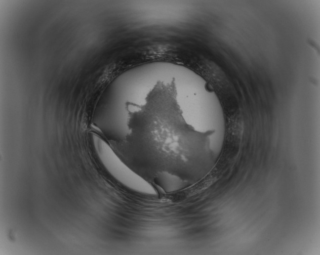 X0000098100754200804251404