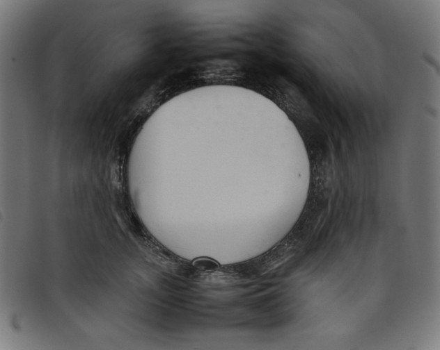 X0000098100755200804251404