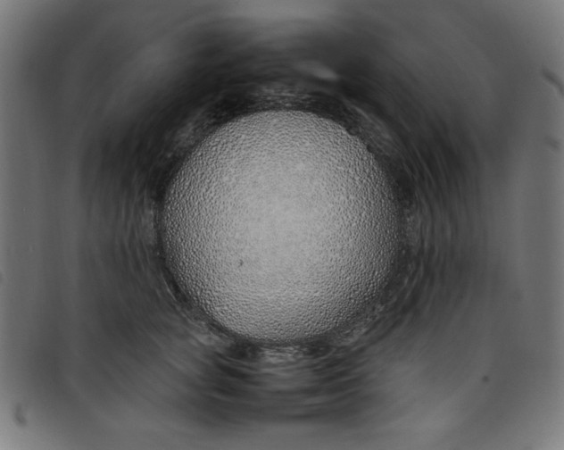 X0000098100757200804251404