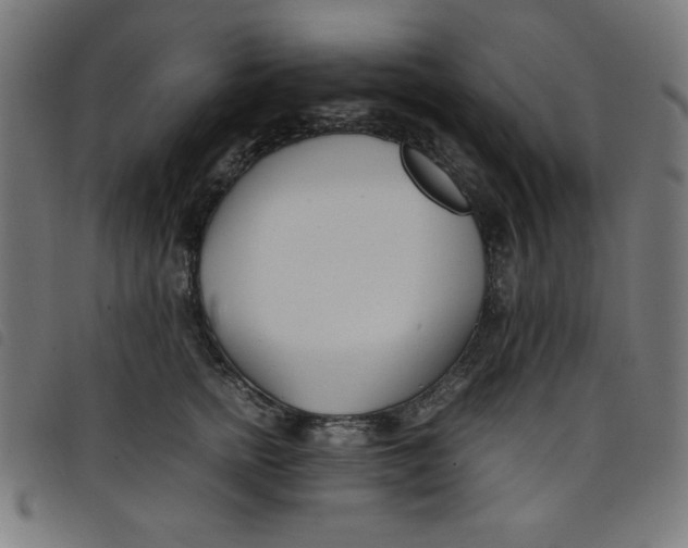 X0000098100758200804251404