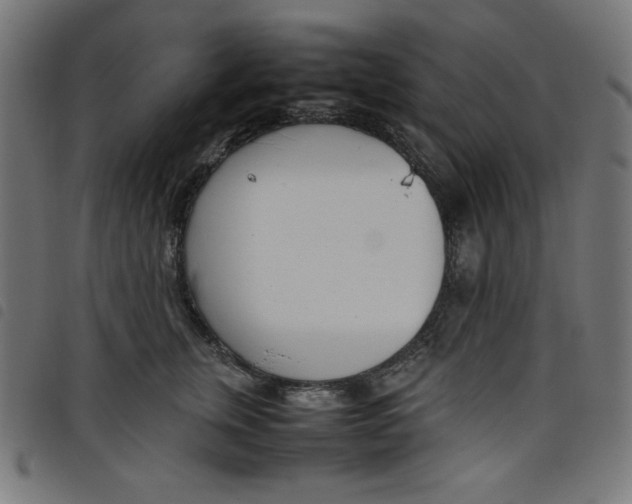X0000098100759200804251404
