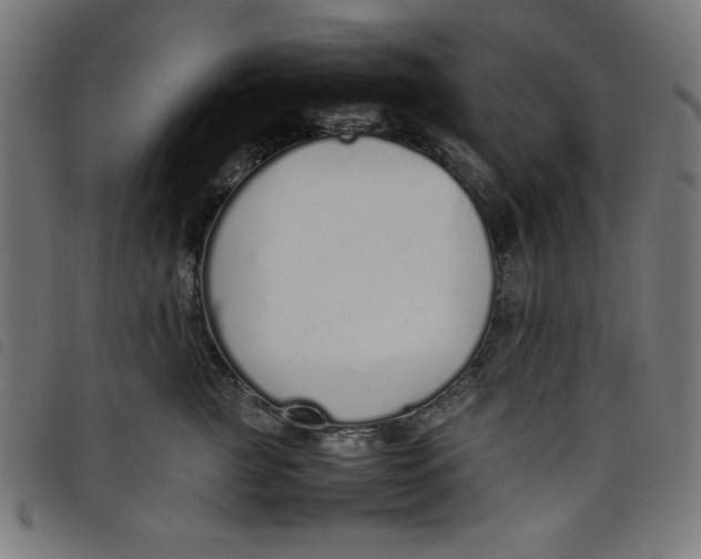 X0000098100761200804251404