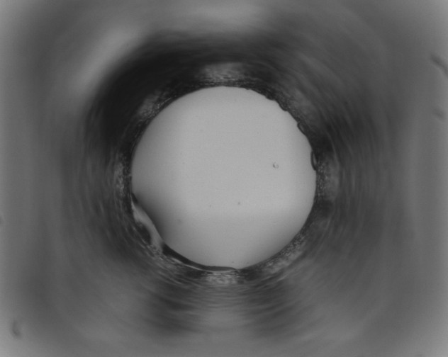 X0000098100762200804251404