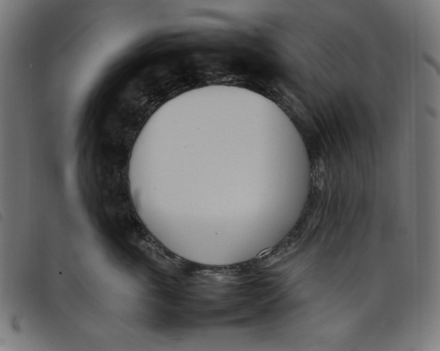 X0000098100763200804251404