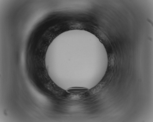 X0000098100764200804251404