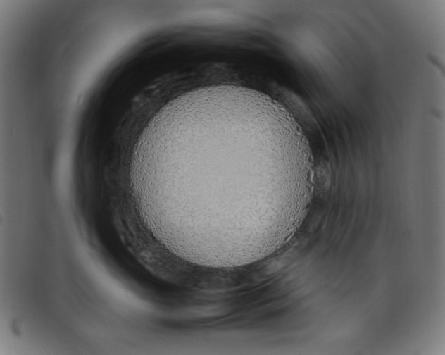 X0000098100765200804251404