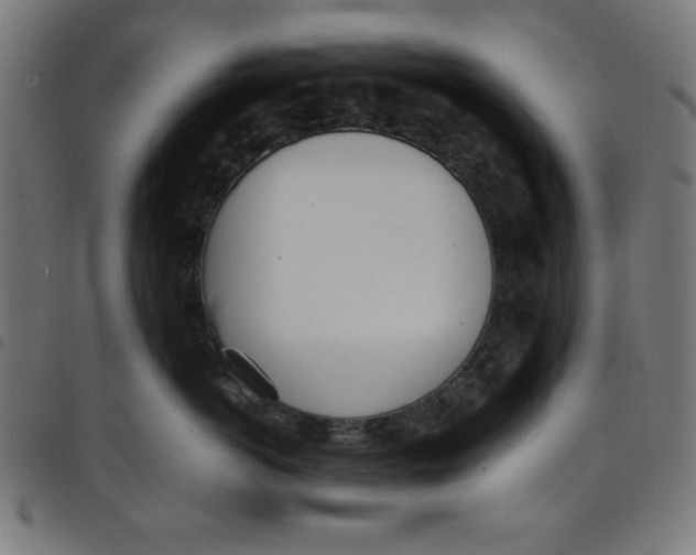 X0000098100766200804251404