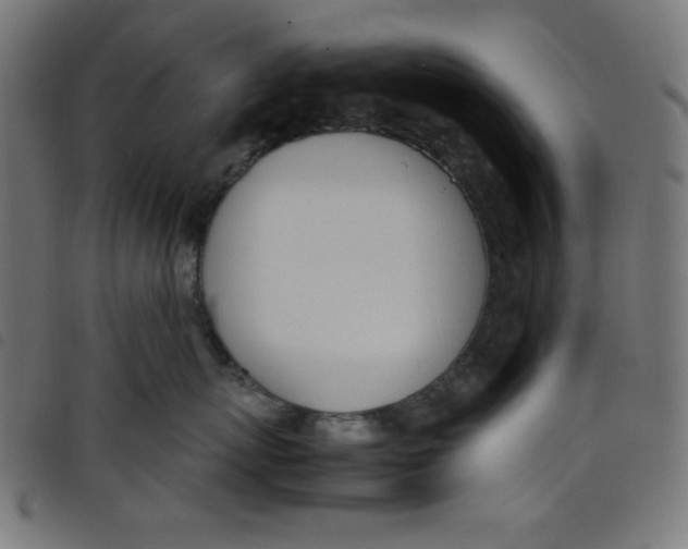 X0000098100767200804251404