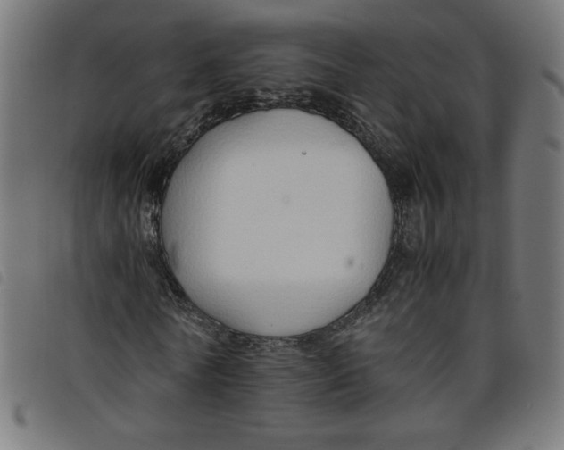 X0000098100770200804251403