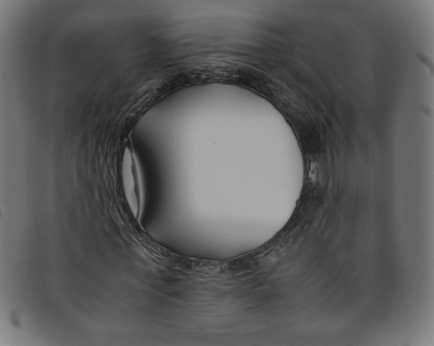 X0000098100771200804251403