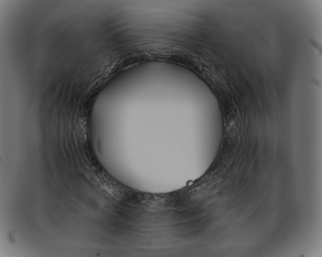 X0000098100772200804251403