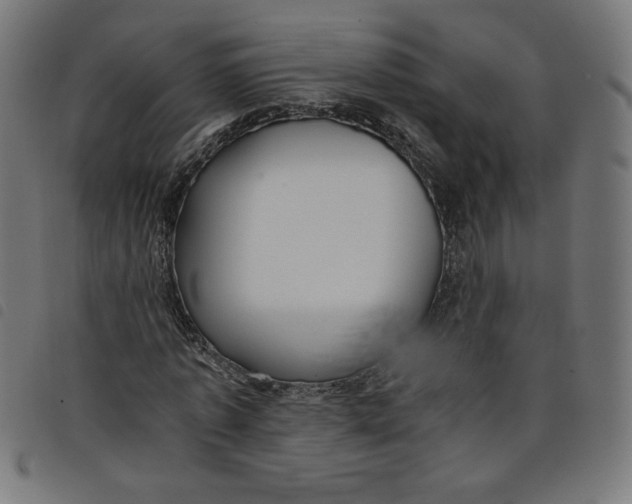 X0000098100773200804251403
