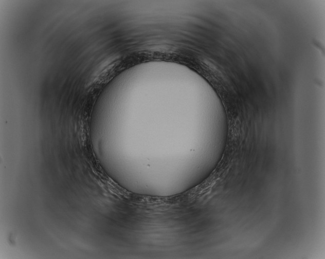 X0000098100774200804251403