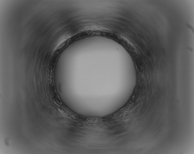 X0000098100775200804251403