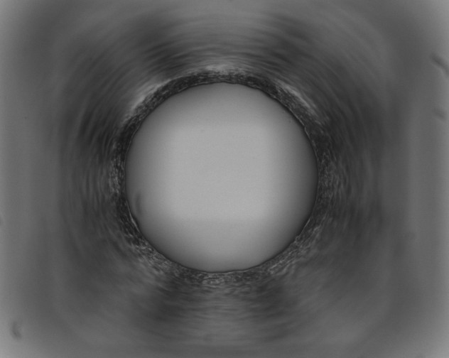 X0000098100776200804251403