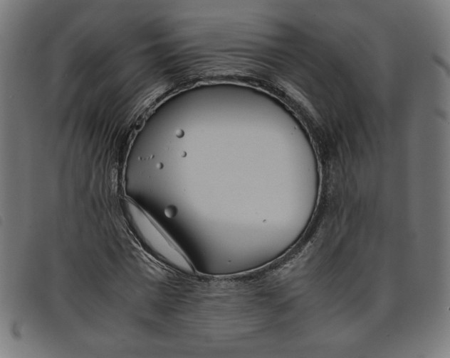 X0000098100777200804251403