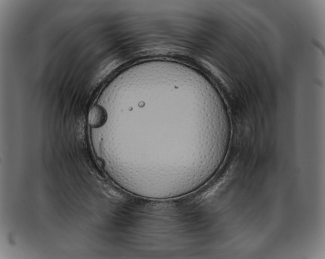X0000098100778200804251403